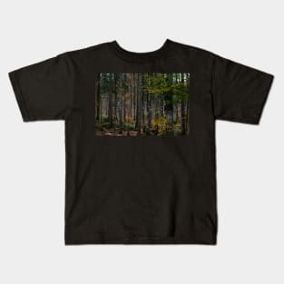 A motley collection of trees Kids T-Shirt